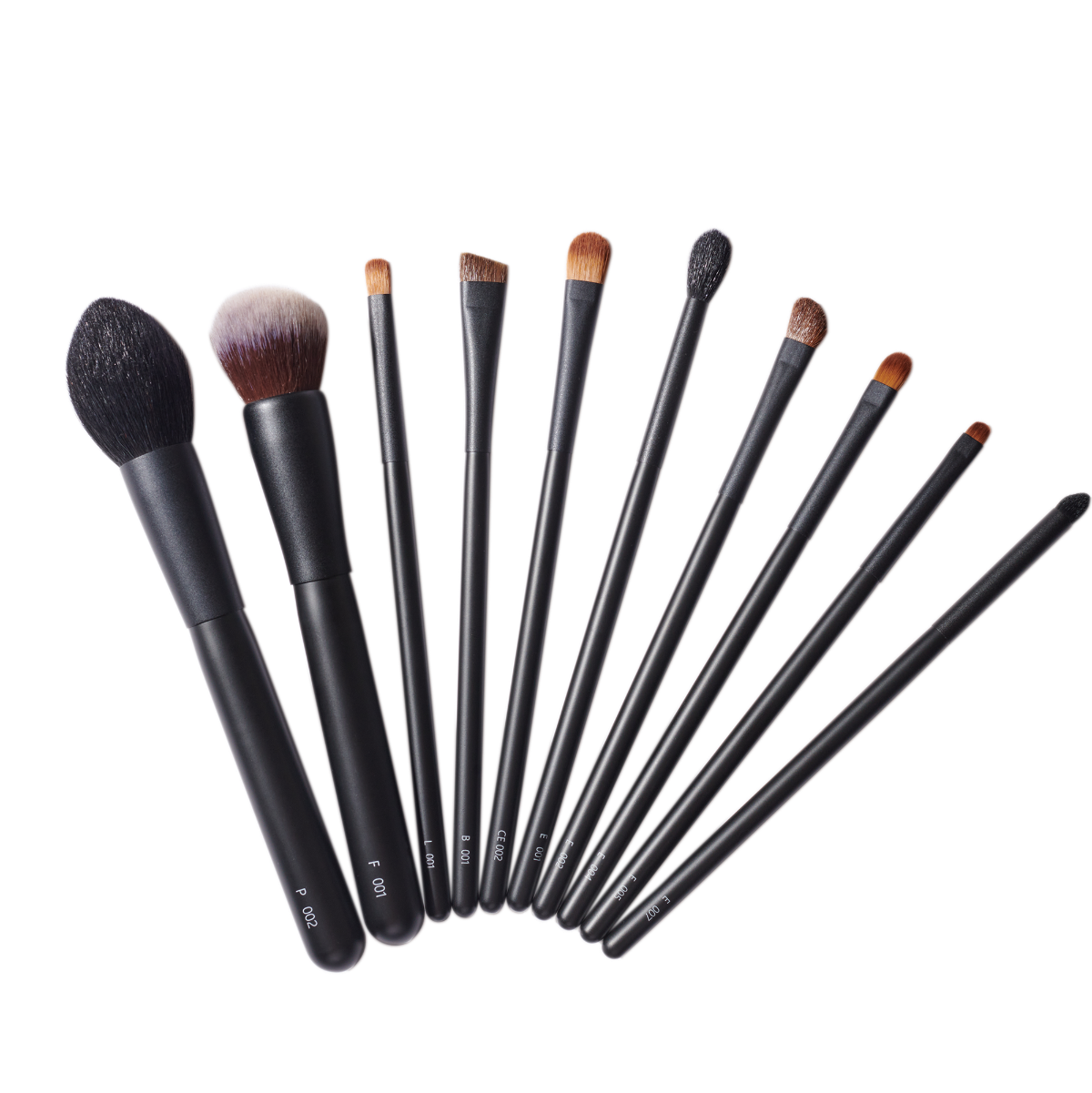 Ensemble de 10 pinceaux Cupola Advanced