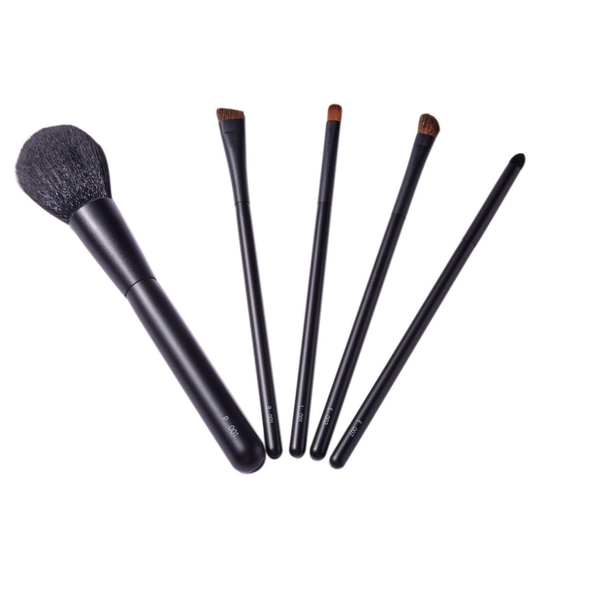 Ensemble de pinceaux de base Cupola 5 pièces