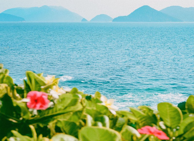 Gettou Magic: The Okinawan Secret Radiant Skin