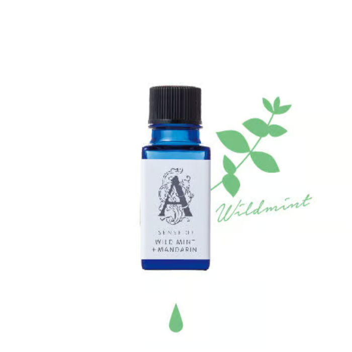 AROMA HOLIC Aceite aromático soluble en agua Menta silvestre 10 ml