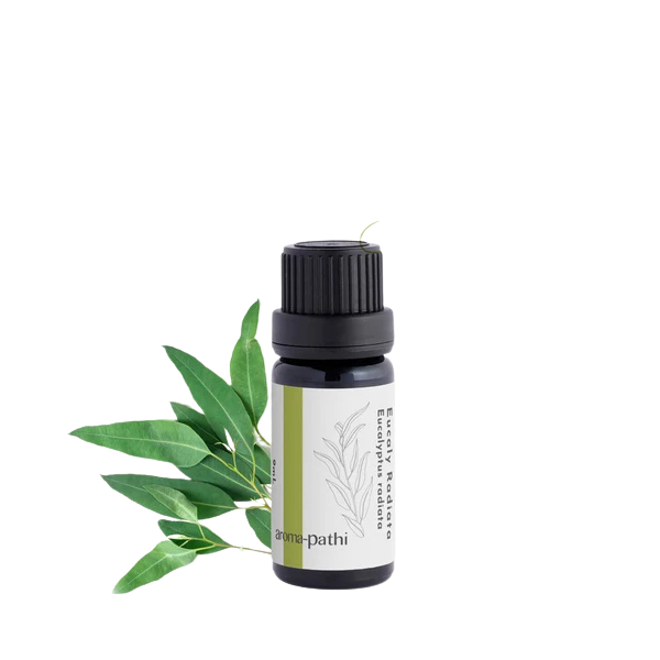 aroma-pathi Essential Oil Eucalyptus (9mL)