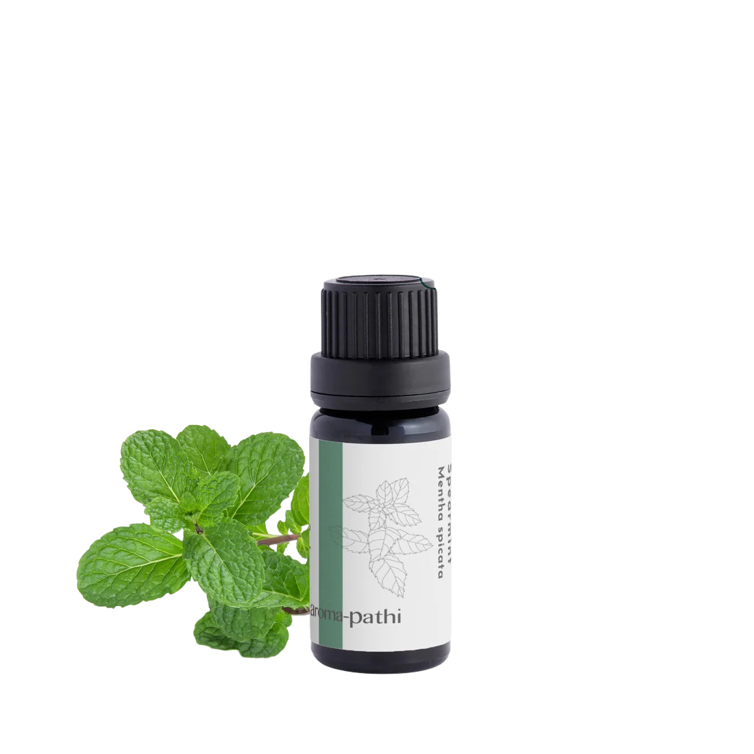 aroma-pathi Essential Oil Spearmint (9mL)